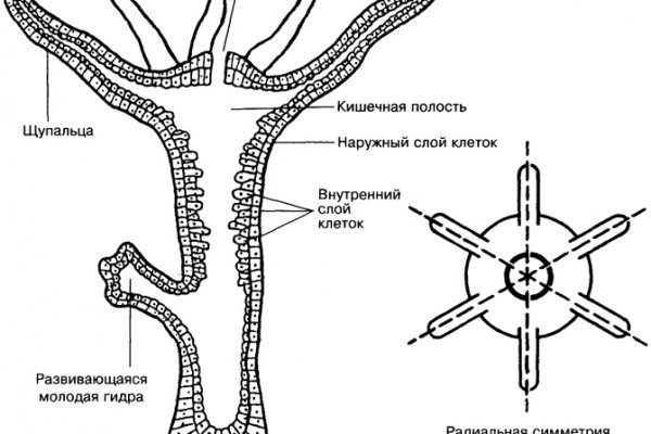 Блэкспрут ссылка blacksprute com