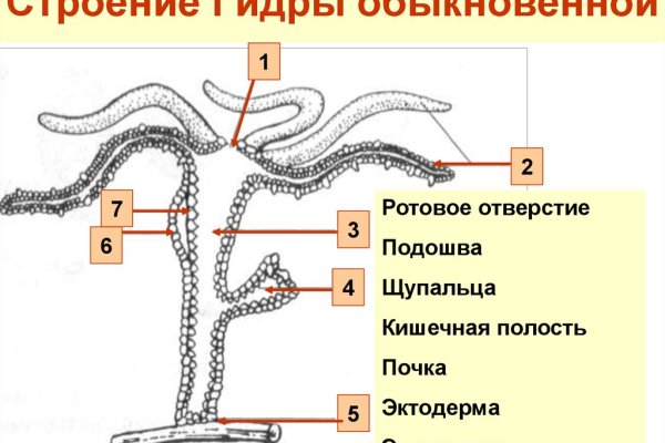 Блэк спрут зеркало 1blacksprut me