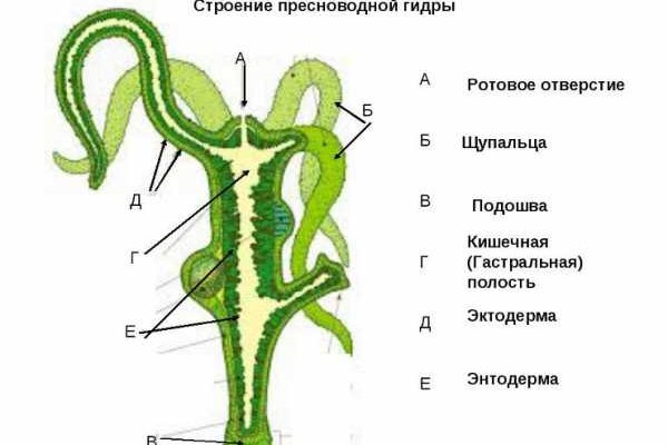 Зеркало blacksprut тор ссылка bs2webes net