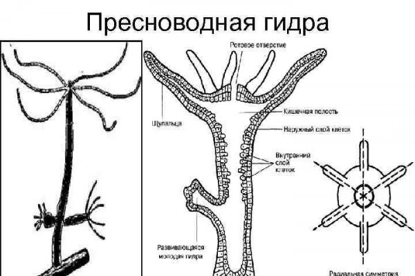 Тор blacksprut club